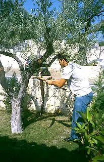 Gi Ga Mar Apartmanhotel 3*